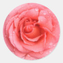 Search for droplets stickers Water drops