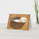 Search for baby goat birthday cards Kid