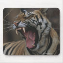 Search for concept mousepads Close up