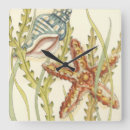 Search for fish clocks Chariklia zarris