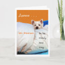 Search for feeling low cards Pet lover
