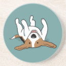 Search for beagles coasters Cute