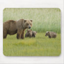 Search for sow mousepads Cub