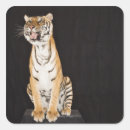 Search for platform stickers Majestic