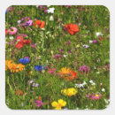 Search for hello spring stickers Beautiful