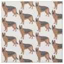 Search for alsatian Puppies