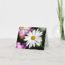 Search for blank postcards birthday cards Floral