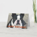 Search for boston terrier birthday cards Cute