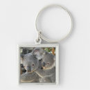 Search for australian koala key rings Grey