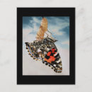 Search for emerging postcards Emergence