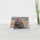 Search for otter christmas cards Santa