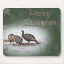 Search for wild turkey electronics Wildlife