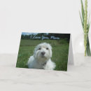 Search for westie mothers day cards Mum