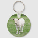 Search for calfs key rings Bull