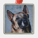 Search for mutt christmas tree decorations Hound