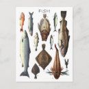 Search for herring fish postcards Fishing