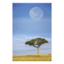 Search for moonscape posters Landscape