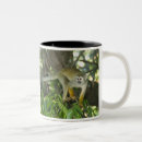 Search for squirrel monkey Mammal