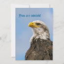 Search for bald eagles invitations Eagle portrait