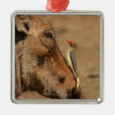 Search for challenge christmas tree decorations Humour