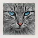 Search for siamese cat puzzles Face