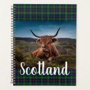 Search for highland cow office supplies Scotland