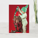 Search for little boys christmas cards Animals
