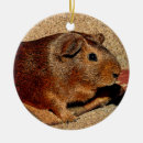 Search for rodent christmas tree decorations Cavy