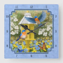 Search for yellow daisies posters Colourful flowers