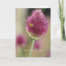 Search for thinking photography Floral