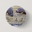 Search for hippo badges Wildlife