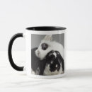 Search for lop rabbit mugs Animal