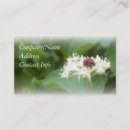Search for ladybug business cards Insects