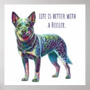 Search for heelers posters Dogs