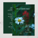 Search for 76th birthday invitations Daisies