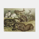 Search for easter doormats Rabbits