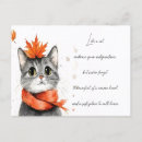 Search for scarves cards Kitten