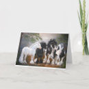 Search for vanner cards Horse
