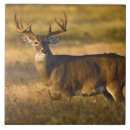 Search for deer tiles Brown