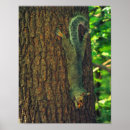 Search for squirrel with peanut art Cute