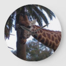 Search for giraffe face art Wildlife