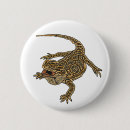 Search for bearded dragon accessories Beardie