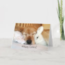 Search for golden retriever easter cards Rabbit