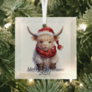 Search for baby highland cow home living Country