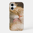 Search for cleaning iphone cases Red