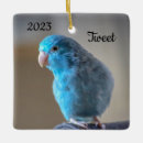 Search for green parrot christmas tree decorations Parakeet