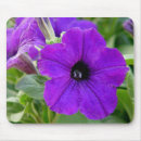 Search for petunia mousepads Flower