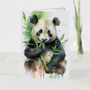 Search for black and white panda cards Bamboo