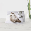 Search for ragdoll cat birthday cards Cute