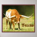 Search for texas longhorn posters Usa